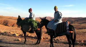 persone su asini Deserto di Zagoura marocco