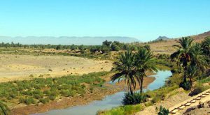 oasi nel Deserto di Zagoura in marocco