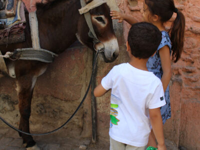 Riad El Arco Marrakesh children's